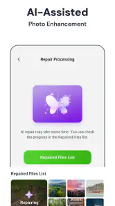 StellarRecovery screenshot