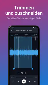 Stimmrekorder Plus Profi screenshot