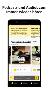 SWR1 screenshot