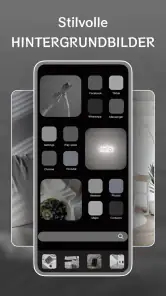 Themen- und Symbolwechsler screenshot