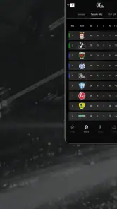 THW Kiel Handball screenshot