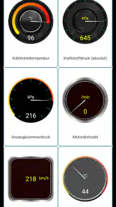 Tor OBD2 Diagnose screenshot