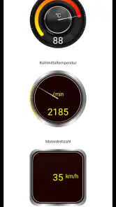 Tor OBD2 Diagnose screenshot