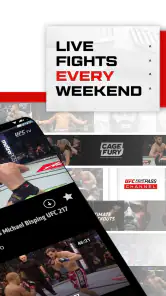 UFC screenshot