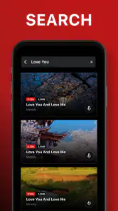 Video-Downloader screenshot