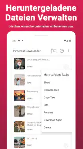 Video-Downloader für Pinterest screenshot