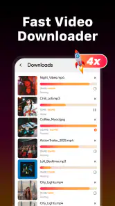 Video-Downloader & Launcher screenshot