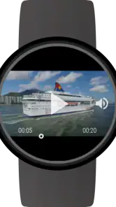 Video Gallery for Wear OS screenshot