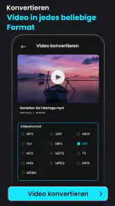 Video Komprimieren: AVI to MP4 screenshot