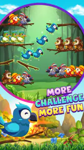 Vogel Sortieren 2: Farbpuzzle screenshot