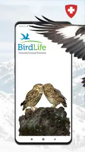 Vogelführer Birdlife Schweiz screenshot