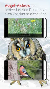 Vogelführer Birdlife Schweiz screenshot