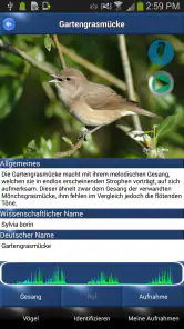 Vogelstimmen Id - Ruf + Gesang screenshot