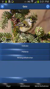 Vogelstimmen Id - Ruf + Gesang screenshot