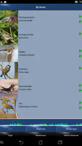 Vogelstimmen Id - Ruf + Gesang screenshot
