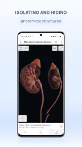 VOKA Anatomy Pro screenshot