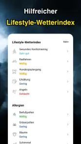 Wetteransicht screenshot