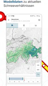 White Risk - SLF Lawinen-App screenshot