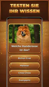 Wood Quiz Blast: Trivia Blocks screenshot