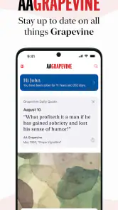 AA Grapevine screenshot