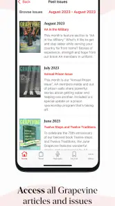 AA Grapevine screenshot