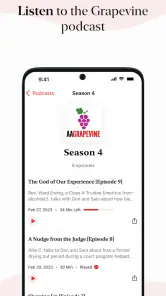 AA Grapevine screenshot