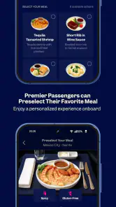 Aeromexico screenshot