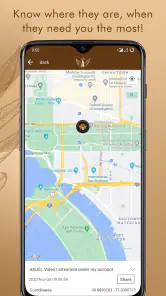 ANJEL Tech screenshot