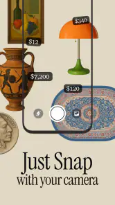 Antique Identifier Zophi screenshot