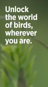 Audubon Bird Guide screenshot