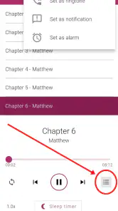 Bible NIV - Audio Bible App screenshot