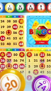 Bingo Country Boys: Tournament screenshot