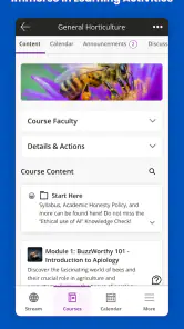 Blackboard screenshot
