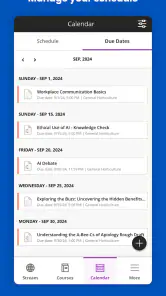 Blackboard screenshot
