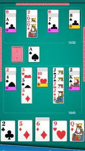 Canasta Card Game screenshot