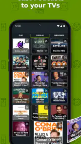 Cast to TV+ Chromecast Roku TV screenshot