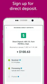 Classic Netspend screenshot
