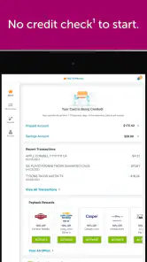 Classic Netspend screenshot