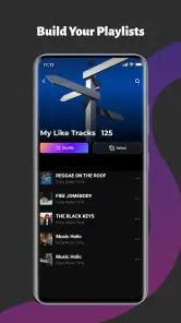 CrispTone: Offline Music screenshot