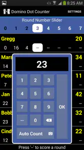 Domino Dot Counter screenshot