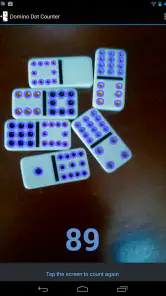 Domino Dot Counter screenshot