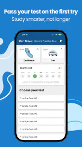 Driver's License Practice Test screenshot