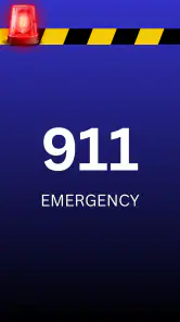 Fake Police Call screenshot