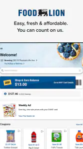 Food Lion screenshot