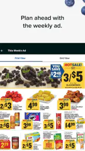 Food Lion screenshot
