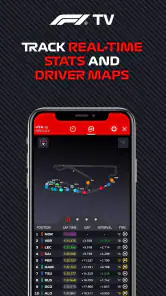 Formula 1® screenshot