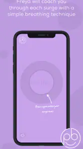 Freya - Surge Timer screenshot