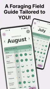 Gather: The Foraging App screenshot