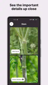 Gather: The Foraging App screenshot