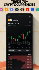 Gemini: Bitcoin Credit Card screenshot